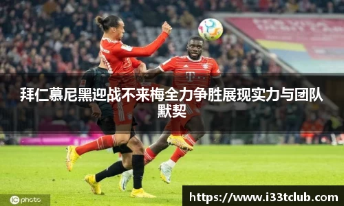 金年会